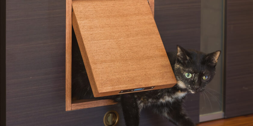 名古屋市中川区　地域猫施設 ペット用ドア くぐり戸編（通販可）